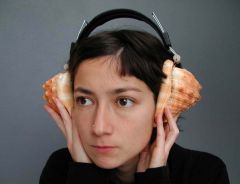shell headphone photo. SU-MEI TSE