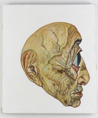 zm Acidic Grandmother